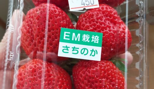 EM栽培で育てた野菜くだもの卵